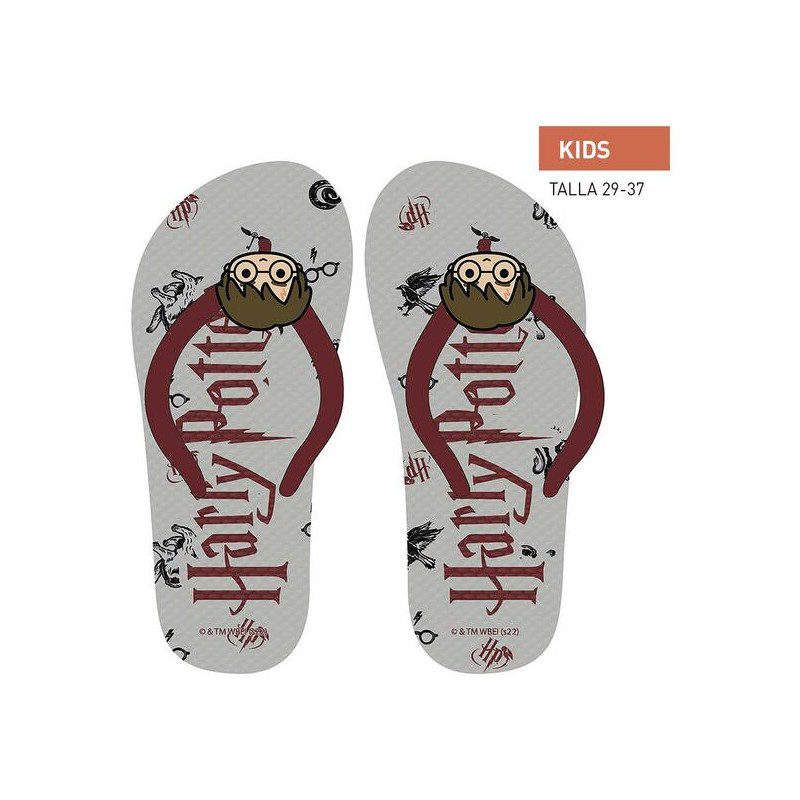 CHANCLAS PREMIUM HARRY POTTER GRAY